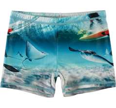 Norton Placed Swimwear